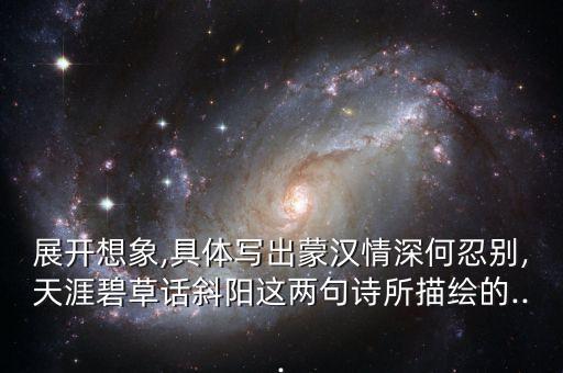 展开想象,具体写出蒙汉情深何忍别,天涯碧草话斜阳这两句诗所描绘的...