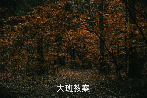 大班教案