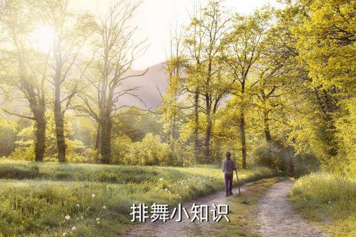 体育舞蹈与排舞教学,排舞啦啦操体育舞蹈区别