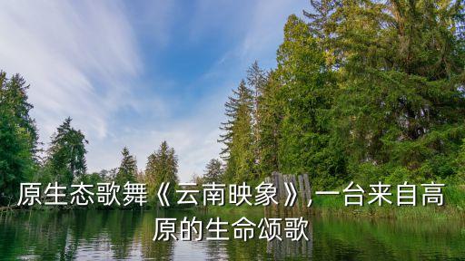 原生态歌舞《云南映象》,一台来自高原的生命颂歌