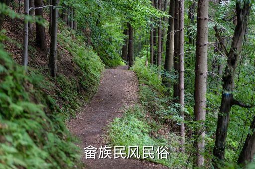 畲山春舞蹈解析,舞蹈畲山春节目简介