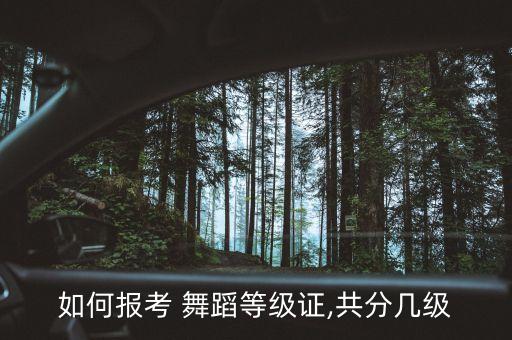 如何报考 舞蹈等级证,共分几级
