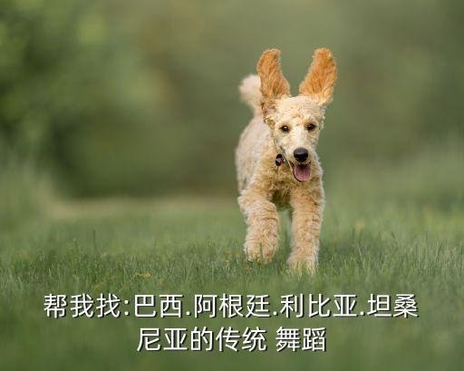 帮我找:巴西.阿根廷.利比亚.坦桑尼亚的传统 舞蹈
