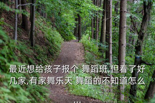 最近想给孩子报个 舞蹈班,但看了好几家,有家舞乐天 舞蹈的不知道怎么...