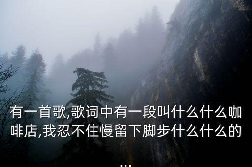 有一首歌,歌词中有一段叫什么什么咖啡店,我忍不住慢留下脚步什么什么的...