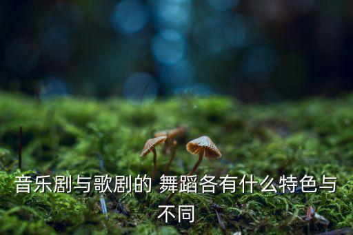 音乐剧与歌剧的 舞蹈各有什么特色与不同