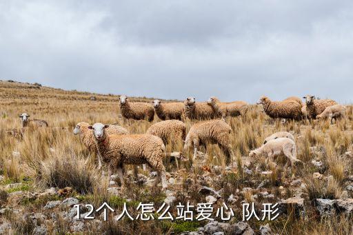 十二个人舞蹈队形图片,11个人的舞蹈队形图片