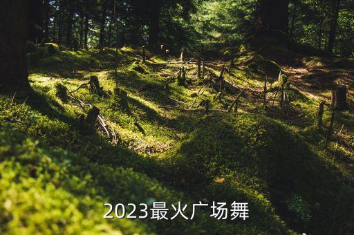 各种套马杆舞蹈,套马杆舞蹈教学视频教学