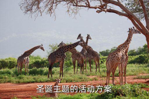 圣诞主题的活动方案