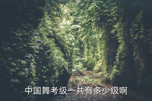 中国舞考级一共有多少级啊