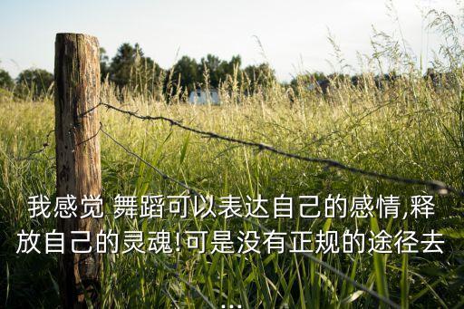 我感觉 舞蹈可以表达自己的感情,释放自己的灵魂!可是没有正规的途径去...