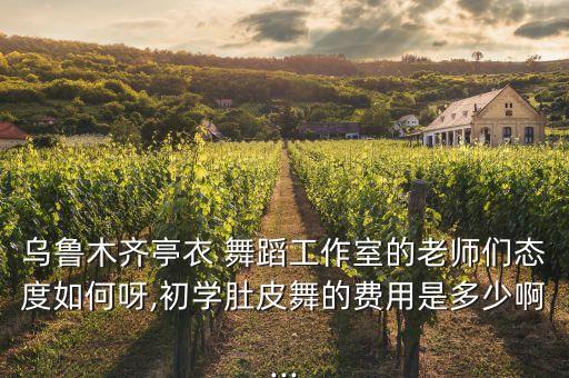 乌鲁木齐亭衣 舞蹈工作室的老师们态度如何呀,初学肚皮舞的费用是多少啊...