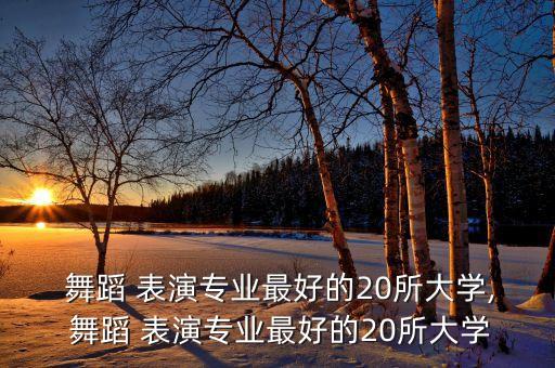 广西舞蹈表演学校,有舞蹈表演专业的大学有哪些学校