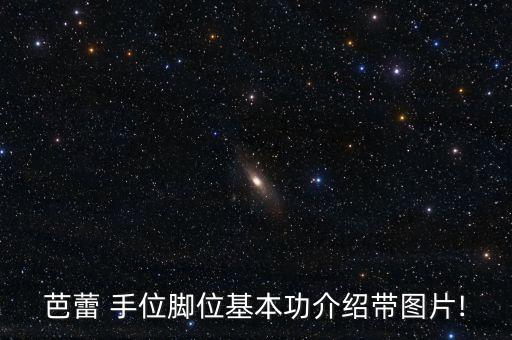 芭蕾 手位脚位基本功介绍带图片!