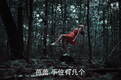 芭蕾 手位有几个