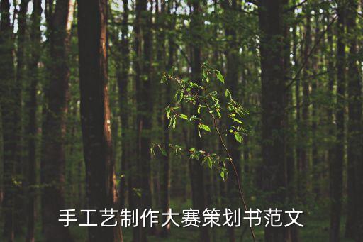 手工艺制作大赛策划书范文