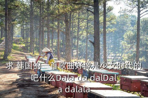韩国da dada舞蹈视频,印度dada舞蹈视频