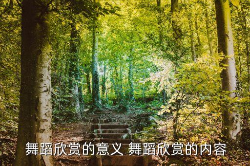  舞蹈欣赏的意义 舞蹈欣赏的内容