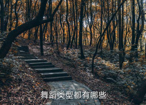  舞蹈类型都有哪些