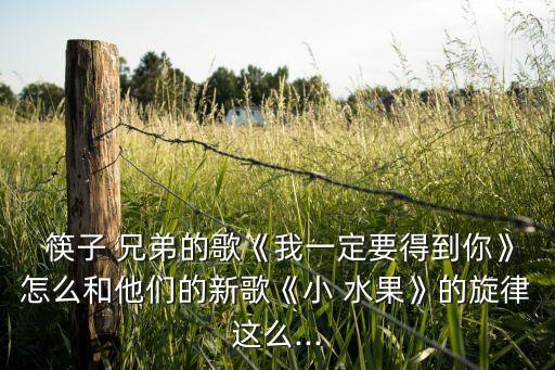  筷子 兄弟的歌《我一定要得到你》怎么和他们的新歌《小 水果》的旋律这么...