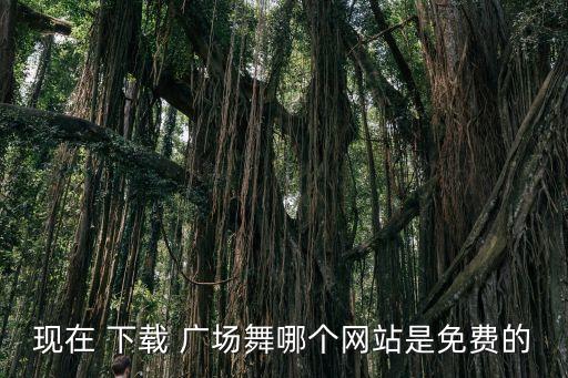 现在 下载 广场舞哪个网站是免费的