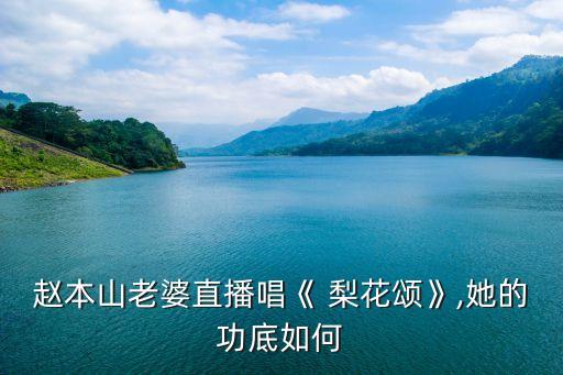 李玉刚梨花颂舞蹈视频,古典舞梨花颂舞蹈视频