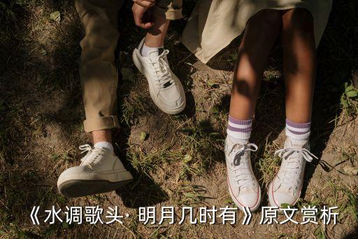 《水调歌头· 明月几时有》原文赏析