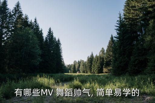 有哪些MV 舞蹈帅气, 简单易学的