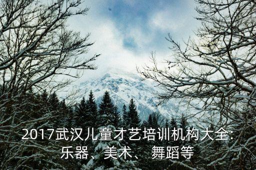 2017武汉儿童才艺培训机构大全:乐器、美术、 舞蹈等