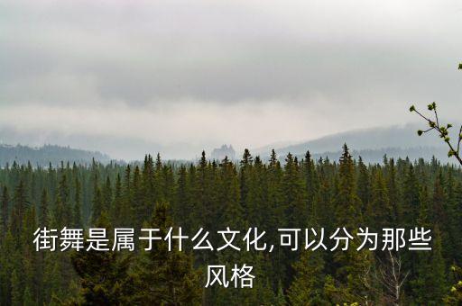 街舞是体育舞蹈,街舞已经纳入体育舞蹈了吗