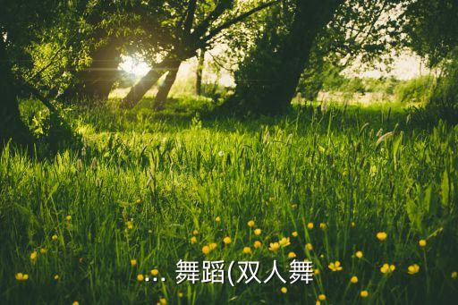 ... 舞蹈(双人舞