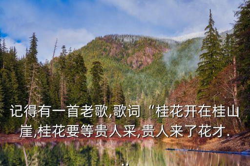 记得有一首老歌,歌词“桂花开在桂山崖,桂花要等贵人采,贵人来了花才...