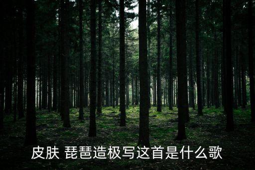 中国风舞蹈视频琵琶行,琵琶行的舞蹈视频完整版