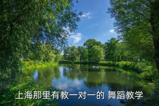 上海那里有教一对一的 舞蹈教学