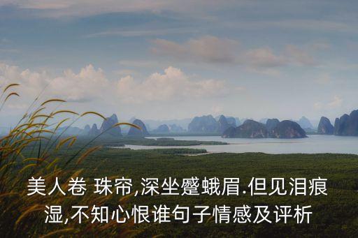 美人卷 珠帘,深坐蹙蛾眉.但见泪痕湿,不知心恨谁句子情感及评析
