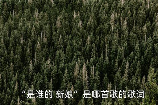 “是谁的 新娘”是哪首歌的歌词