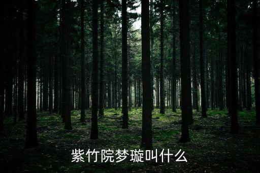 紫竹院梦璇叫什么