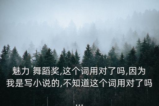 魅力 舞蹈奖,这个词用对了吗,因为我是写小说的,不知道这个词用对了吗...