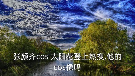 张颜齐cos 太阳花登上热搜,他的cos像吗