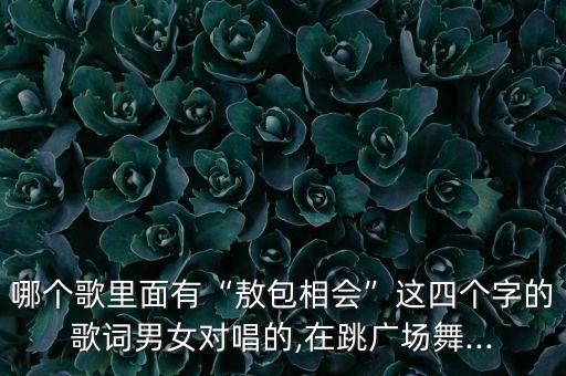 哪个歌里面有“敖包相会”这四个字的歌词男女对唱的,在跳广场舞...