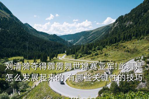 刘清漪夺得霹雳舞世锦赛亚军!此舞是怎么发展起来的,有哪些关键性的技巧...