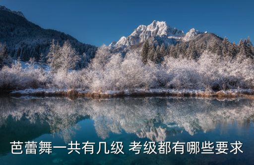 新版舞蹈考级教材二级,咯咯咯舞蹈考级二级教材