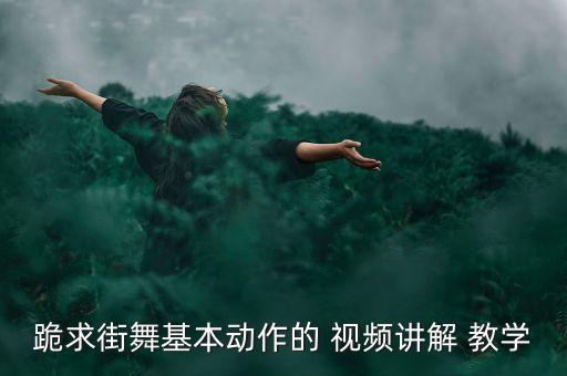 跪求街舞基本动作的 视频讲解 教学