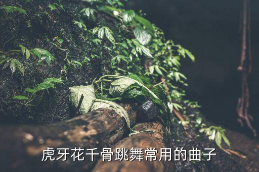 虎牙花千骨跳舞常用的曲子