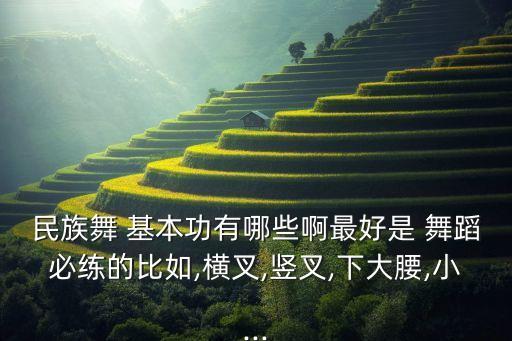 民族舞 基本功有哪些啊最好是 舞蹈必练的比如,横叉,竖叉,下大腰,小...