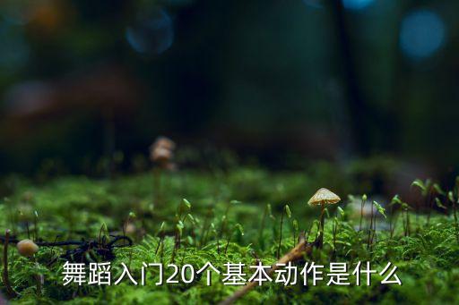 手抓舞蹈视频教学,手之意舞蹈正反面教学视频