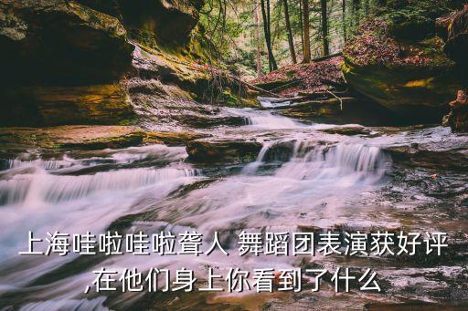 上海哇啦哇啦聋人 舞蹈团表演获好评,在他们身上你看到了什么