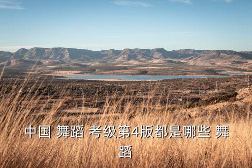 中国 舞蹈 考级第4版都是哪些 舞蹈