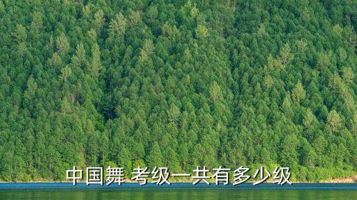 中国舞 考级一共有多少级