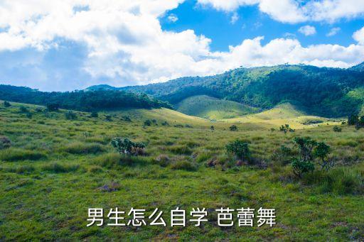 男生怎么自学 芭蕾舞